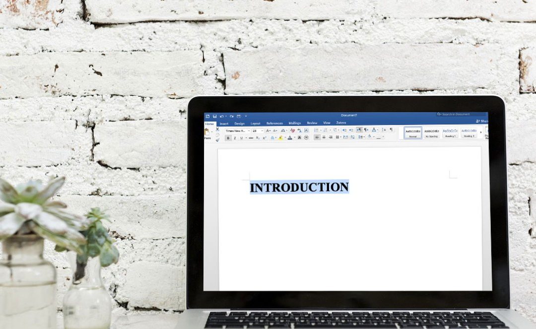 How to Write An Introduction Section/Chapter
